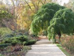 wandelpad en begroeiing in herfstkleuren